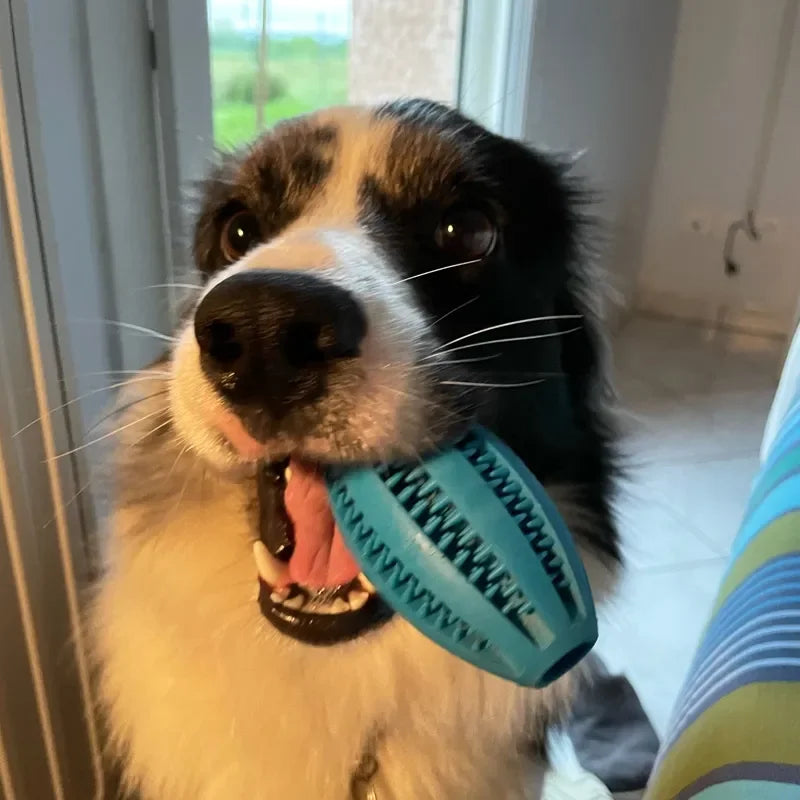 Dog Chew Snack Ball